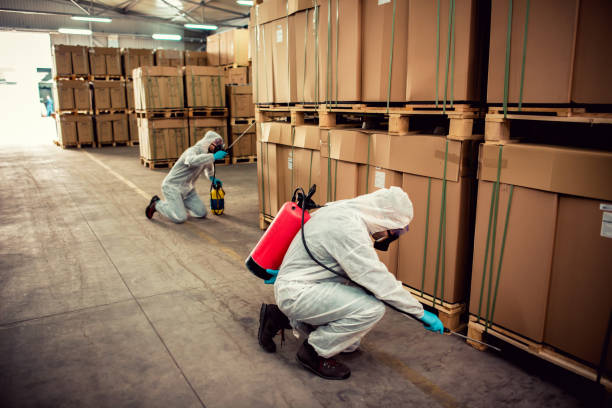 Best Emergency Pest Control  in Glen Burnie, MD