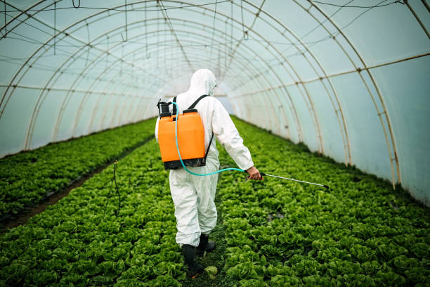 Best Pest Inspection Near Me  in Glen Burnie, MD