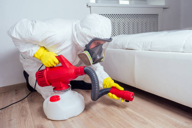 Best Termite Control Services  in Glen Burnie, MD