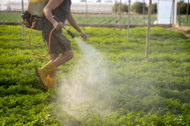 Best Best Pest Control Companies  in Glen Burnie, MD