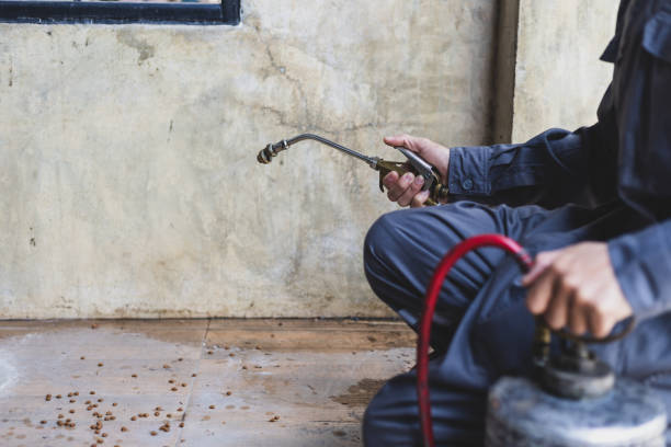 Best Affordable Pest Control Services  in Glen Burnie, MD