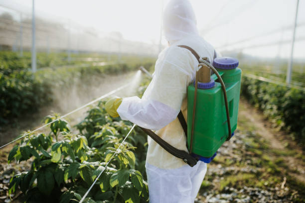 Best Pest Control Near Me  in Glen Burnie, MD